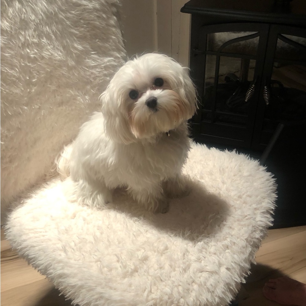 Meet your Posher, Mimi